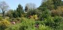 Norwood Gardens