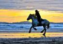 Nolton Stables Horseriding