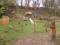The Welsh Wildlife Centre